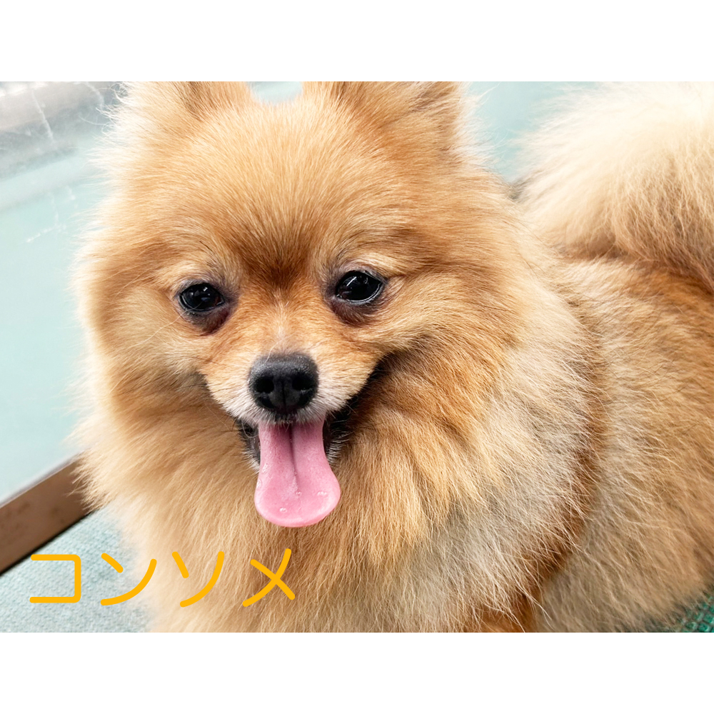 kBeʐ^@